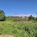 Teren intravila 40.679 mp in Campina, dezvoltare imobiliara